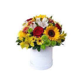 thumb-box-de-flores-mistas-com-girassol-e-astromelias-0
